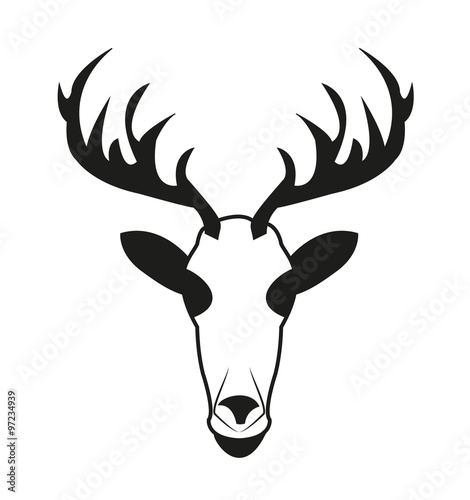 Reindeer head isolated on white, testa di renna su fondo bianco