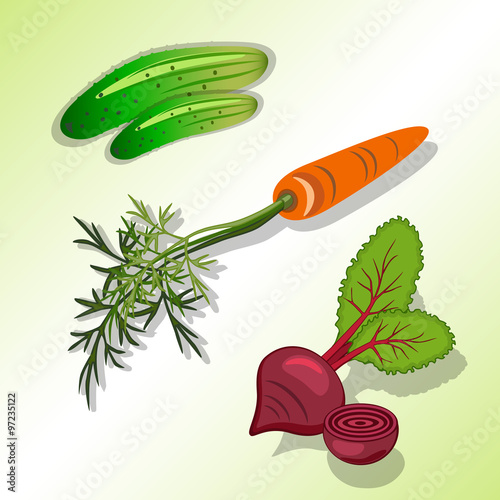 Food, vegetable set. Beet, carrot with tops, cucumber colored icon. Colorful silhouettes with shadow on light green background. Flat design. Vector isolated