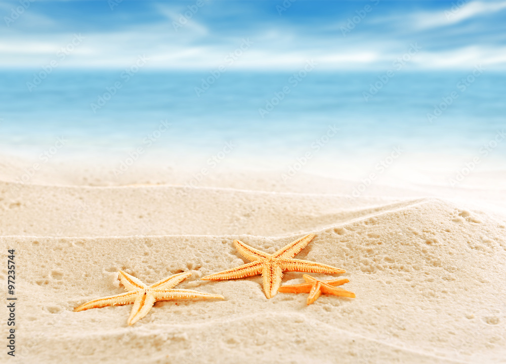 Starfishes on sea sand background Starfishes on sea sand background