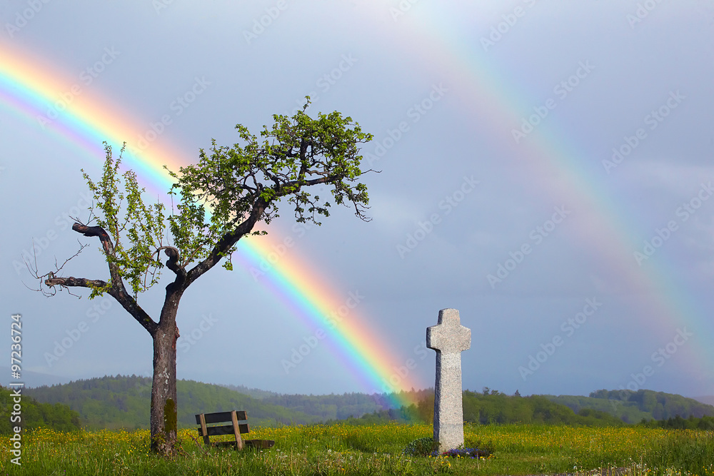 Naklejka premium Regenbogen