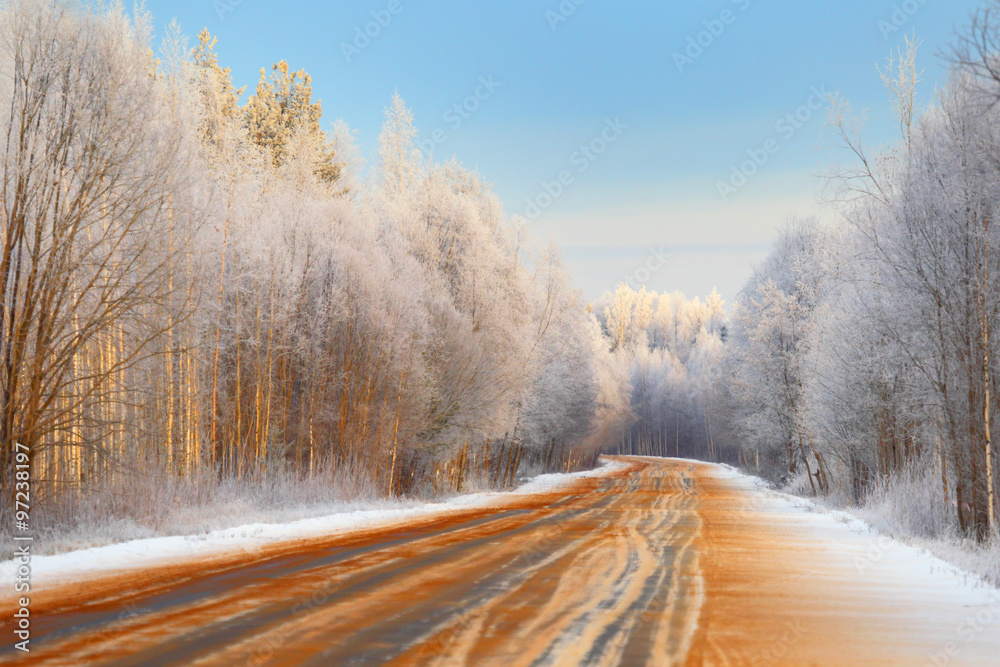 Obraz premium Open road. Winter forest.