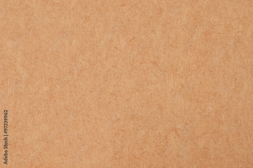 Fototapeta premium Cardboard paper background