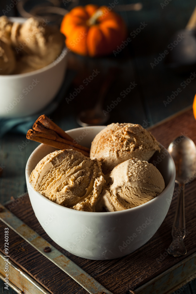 Fototapeta premium Homemade Pumpkin Pie Ice Cream