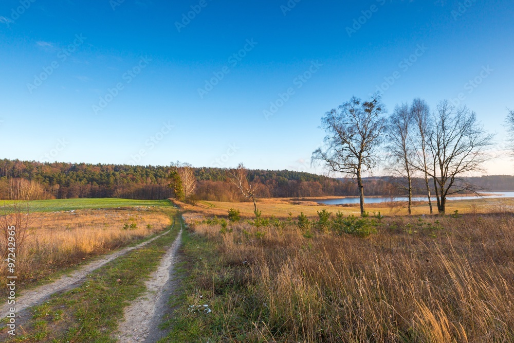 Landscape of fields at late autumn or winter