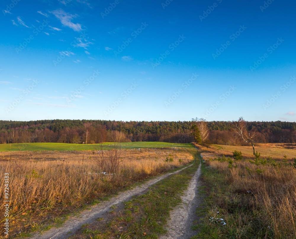 Landscape of fields at late autumn or winter