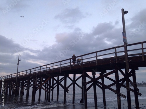 Wallpaper Mural man with dog walking Torontodigital.ca