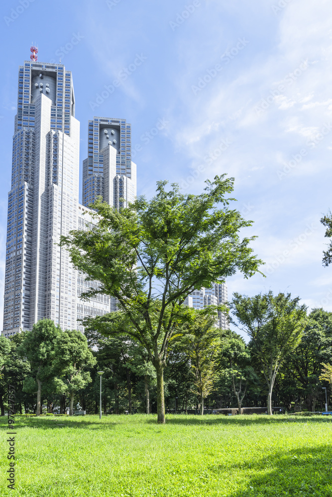 Fototapeta premium 新宿中央公園