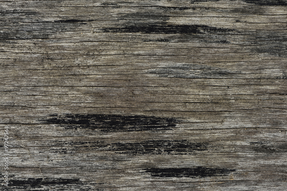 Obraz premium Old wood background