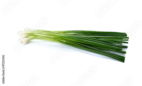 whole green spring onion on white background