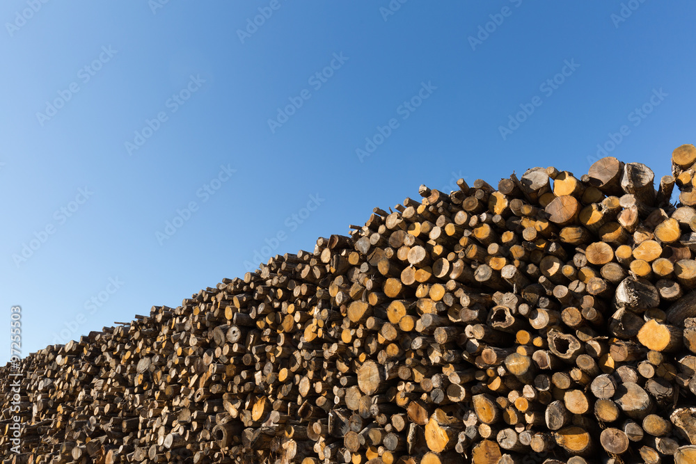 積み上げられた材木