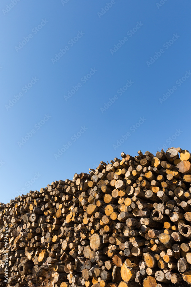 積み上げられた材木