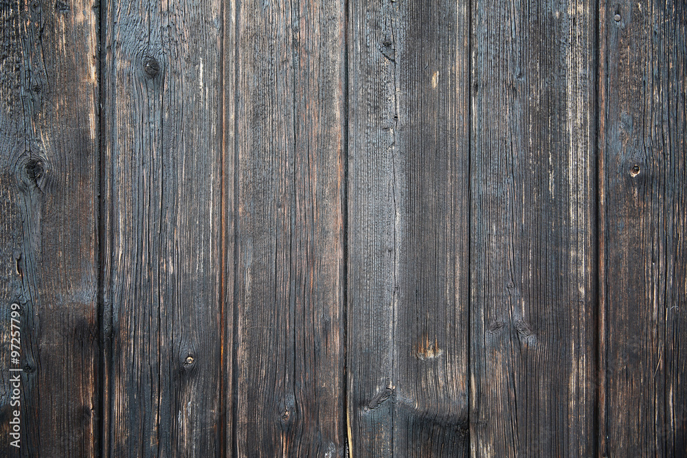 Naklejka premium Wood texture