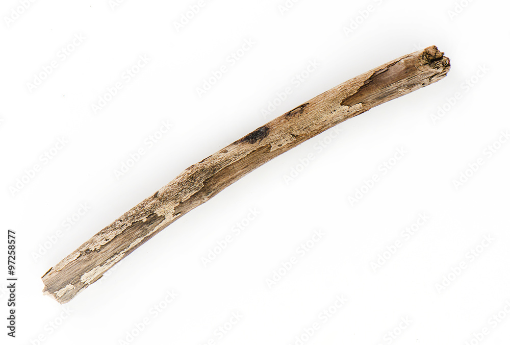 Obraz premium Dry tree branch isolated on white background.