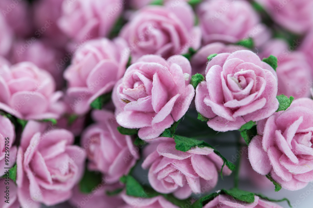 Bunch of light magenta roses for background Bunch of light magenta roses for background