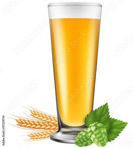 A glass of beer with barley and hops. Photo-realistic vector illustration.
