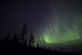 Amazing scenery in the Northern sky. Aurora Borealis is flaming up the sky during early November night.