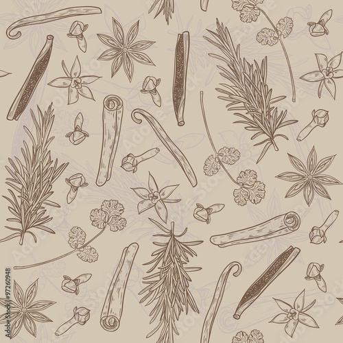 Vector seamless texture with Herbs and Spices. Natural spices. Compilation of vector sketches. Kitchen herbs and spice. Vintage style. Hand drawn.