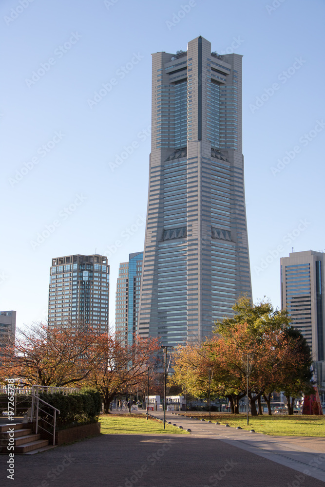 Obraz premium 横浜 ランドマークタワー 紅葉