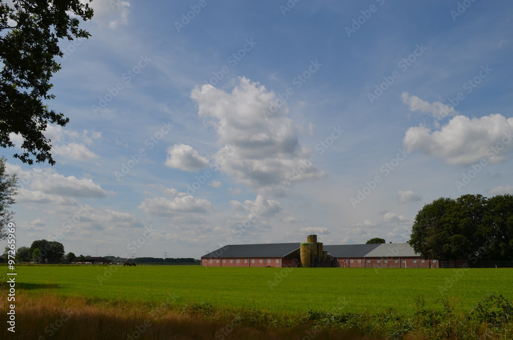 Modern farm building and meadow in Dutch polders, Breda