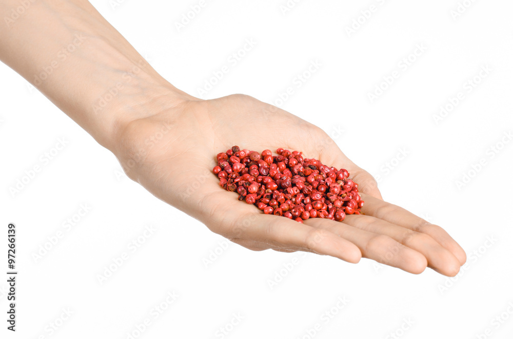 Spices and cooking theme: man's hand holding a bunch of pink pepper isolated on a white background in studio Spices and cooking theme: man's hand holding a bunch of pink pepper isolated on a white background in studio