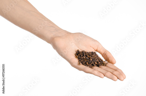 Spices and cooking theme: man's hand holding a bunch of dried cloves isolated on white background in studio