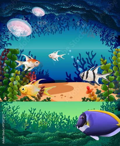 Fish swimming under the ocean