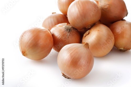               Onion