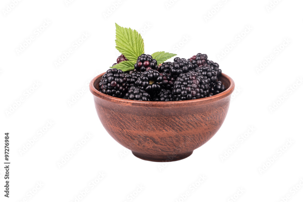 Blackberry in bowl Blackberry in bowl