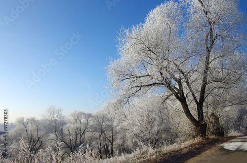 Winter day in the Russian village