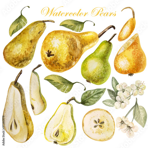 Set with watercolor pears