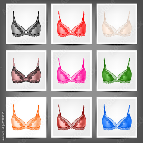 vector lingerie set