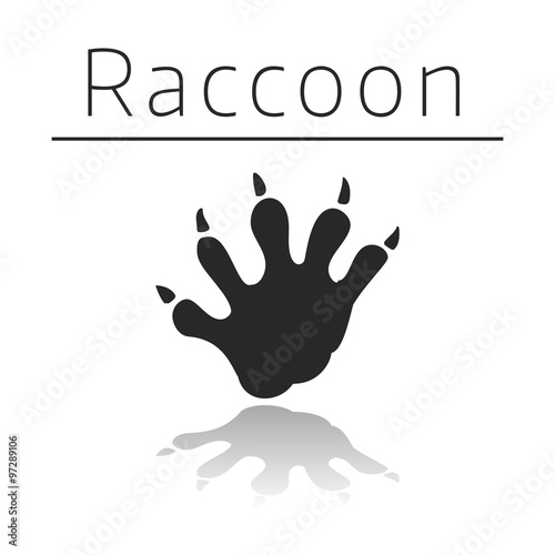 Raccoon animal track