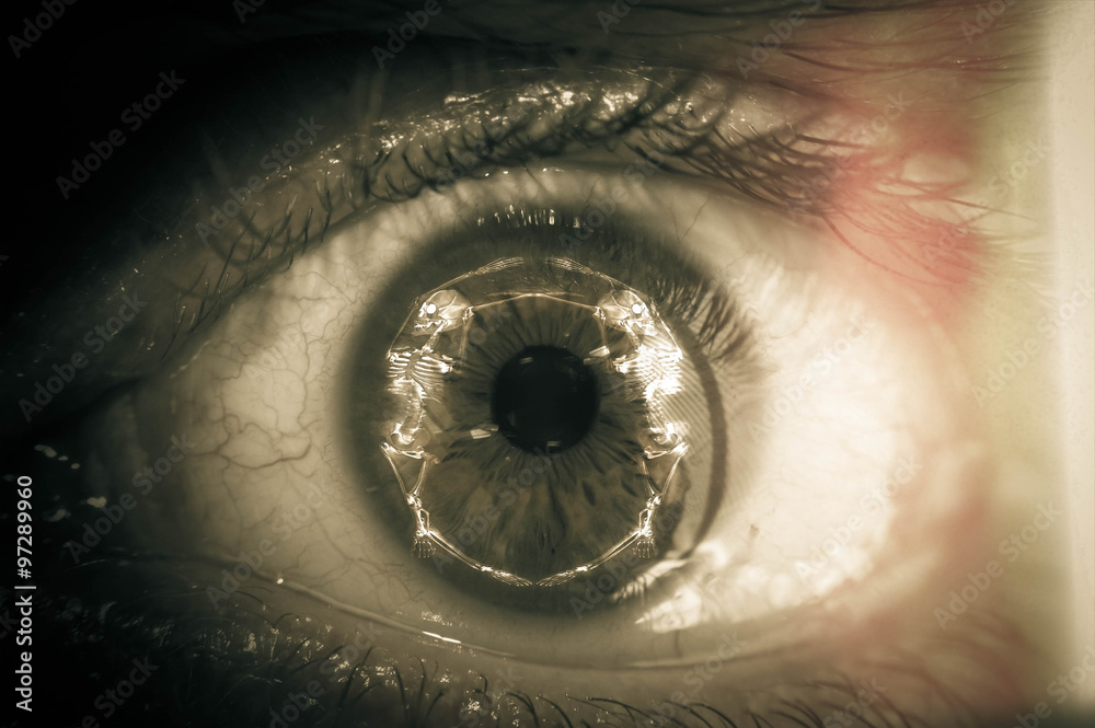Naklejka premium Macro Eyeball Skeleton