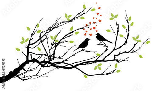 two birds in love with hearts on a branch
