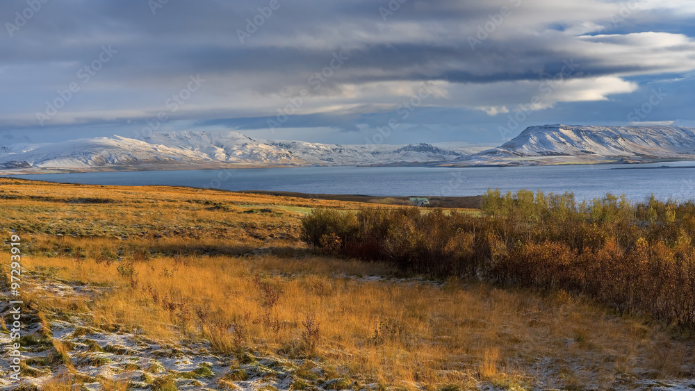 Iceland, Beautiful arctic landscape, wild field , nature Iceland, Beautiful arctic landscape, wild field , nature