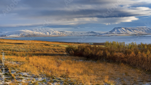 Iceland  Beautiful arctic landscape  wild field   nature