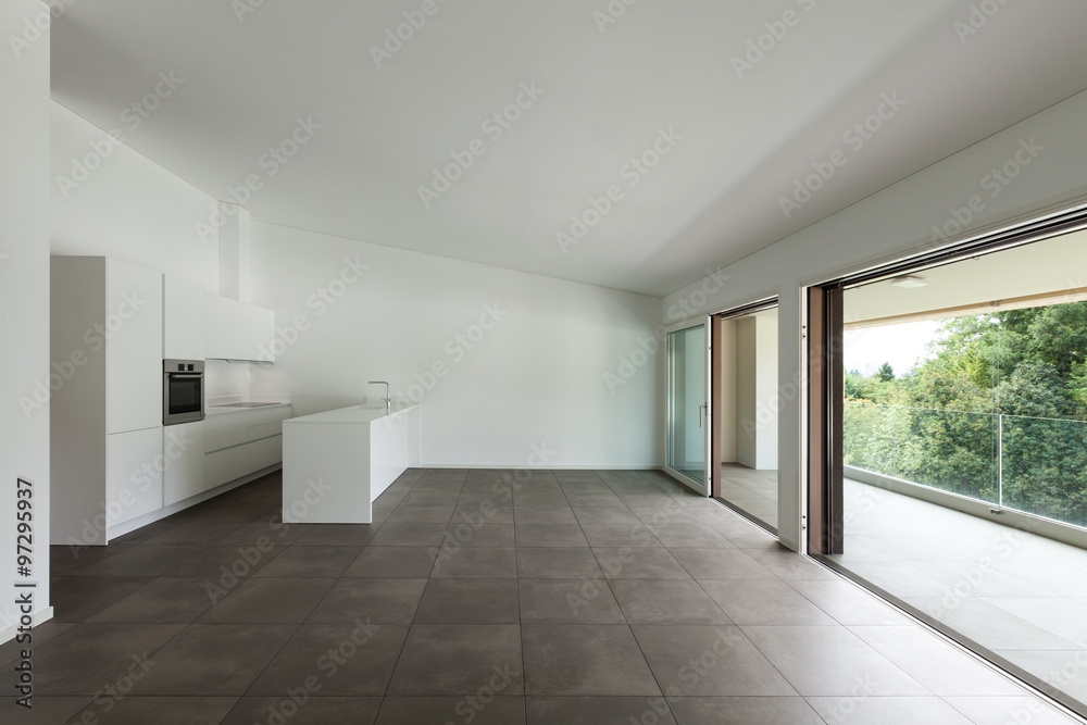 Fototapeta premium modern apartment, domestic kitchen