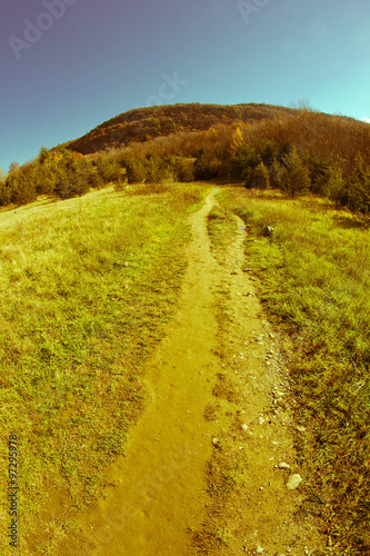 Dirt Path Appalachian Mountains