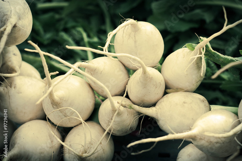 Canvas Print White Hailstone Radish