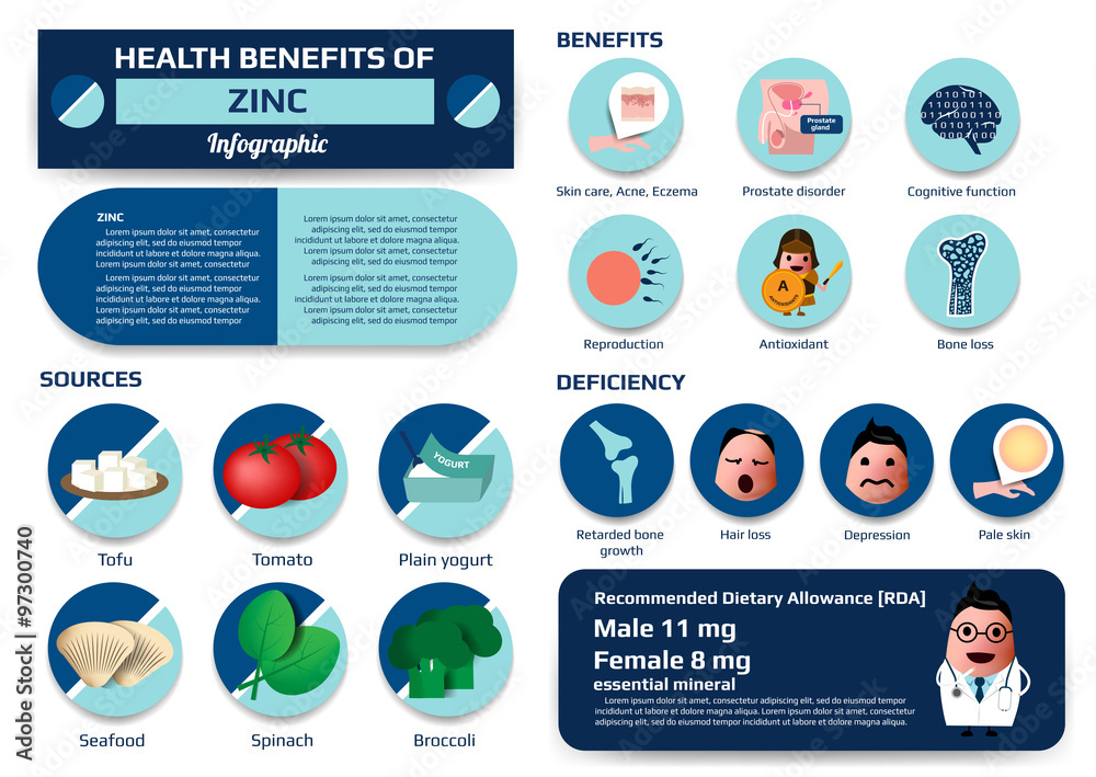 health benefits of zinc infographic Stock Vector Adobe Stock