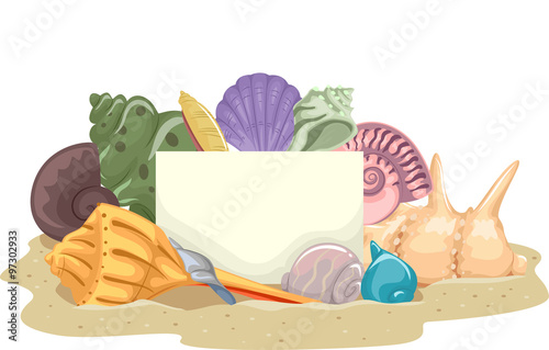 Shells Blank Board