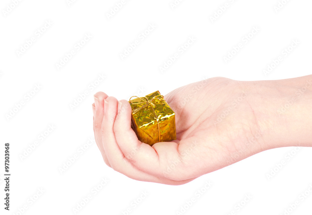 Fototapeta premium A hand holding a small box