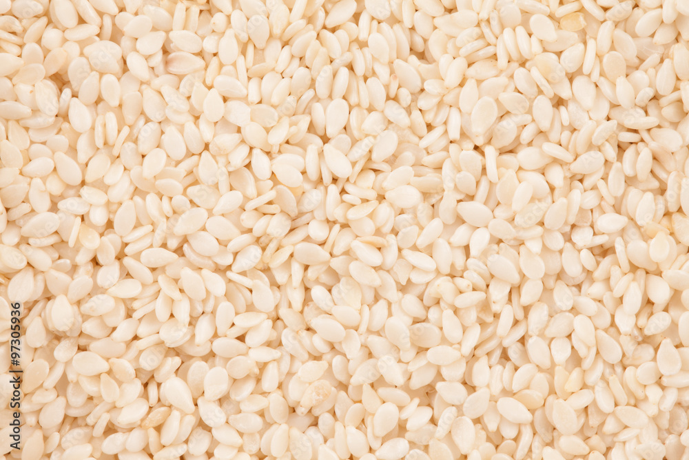 texture of white purified sesame close-up the background texture of white purified sesame close-up the background