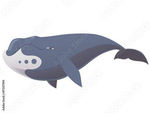 funny bowhead whale