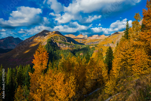 Fotografia Colorado fall foliage