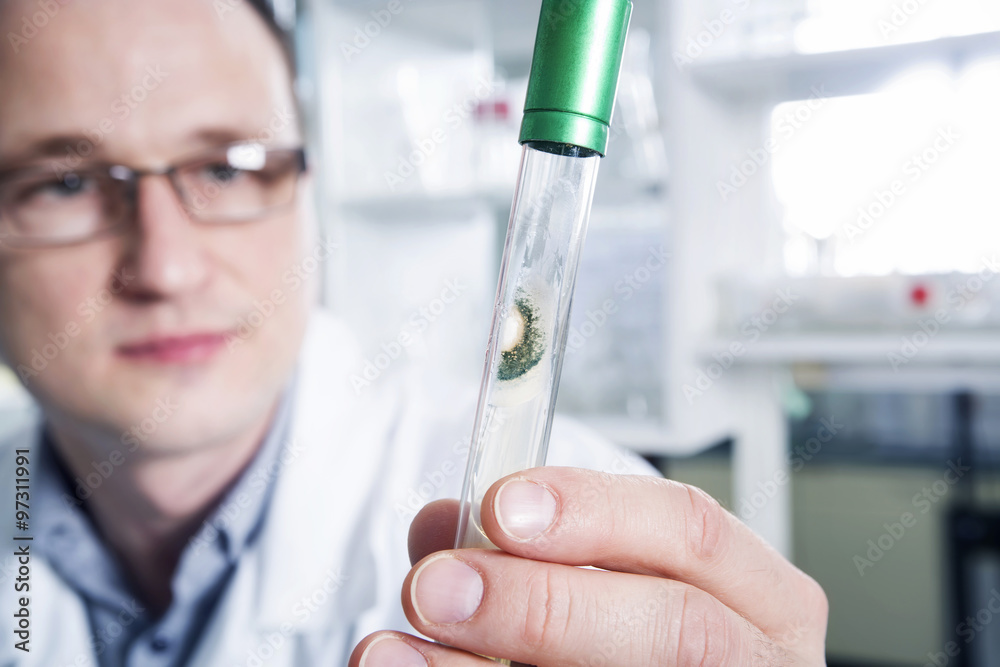 Scientist observing test tube at the laboratory Scientist observing test tube at the laboratory