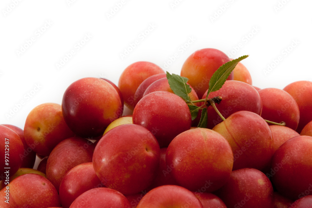 Fresh fruits of plums on a white background Fresh fruits of plums on a white background