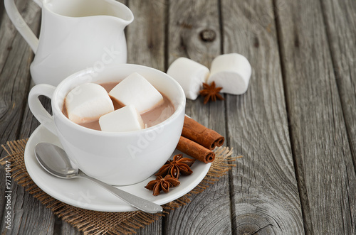 Hot chocolate with marshmallows and spices on the rustic wooden table