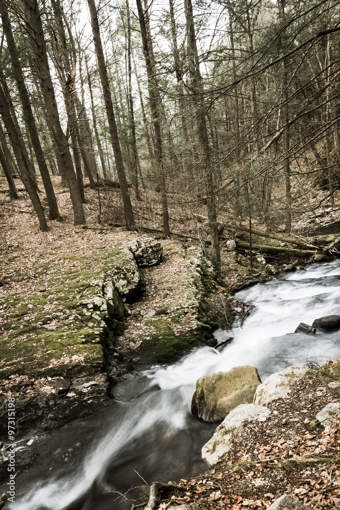 Misty Woodland Waterfall