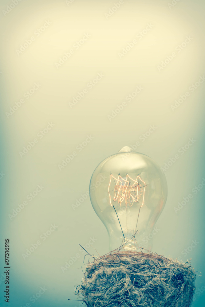 Edison Lightbulb